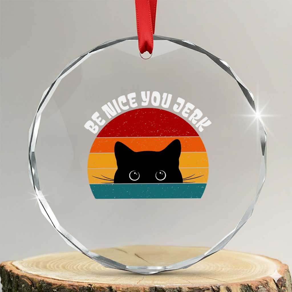 Be Nice You Jerk Crystal Glass Ornament Funny Cat Sarcastic Quote TS14 Transparent Glass 3'' Circle Print Your Wear