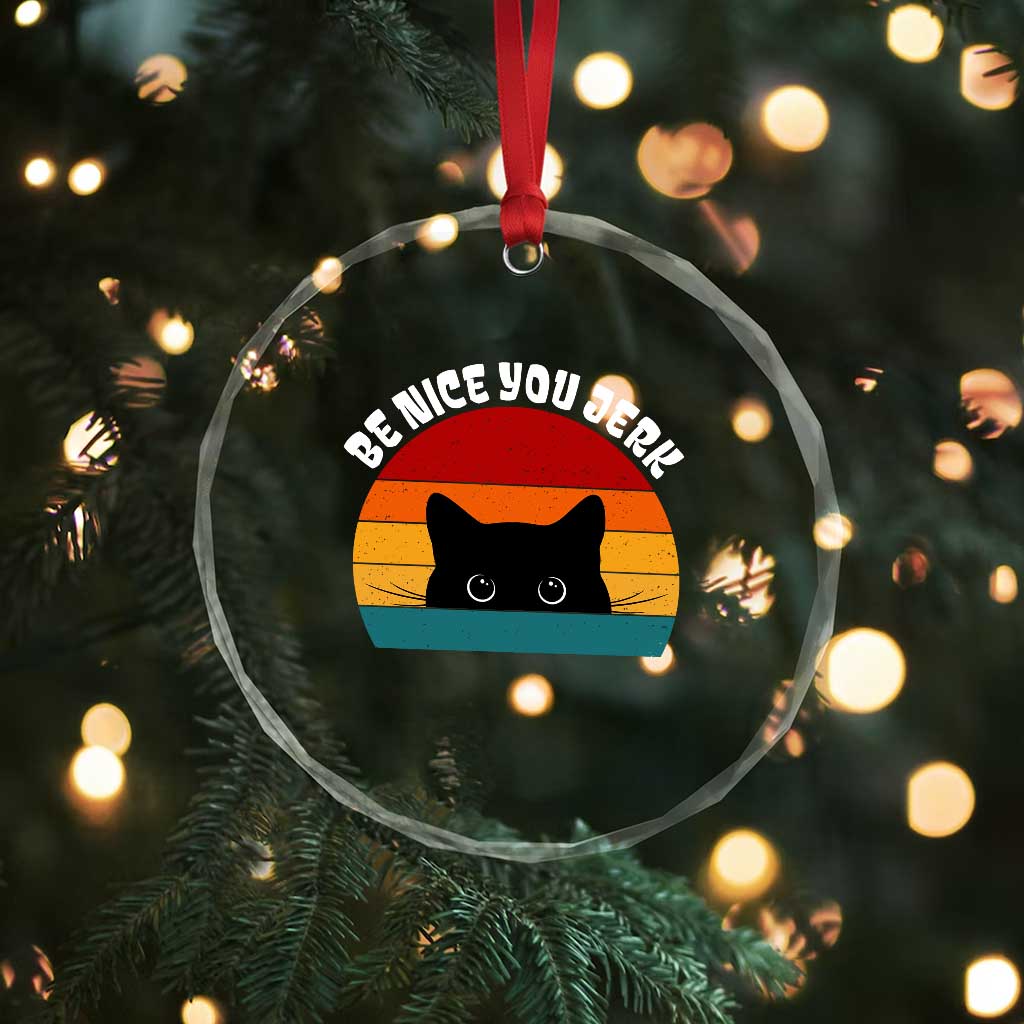 Be Nice You Jerk Crystal Glass Ornament Funny Cat Sarcastic Quote TS14 Print Your Wear