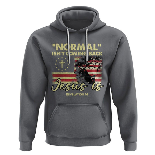 "Normal Isn't Coming Back" Graphic Hoodie - Oversized Men's Pullover Hoodie (D-wine, Medium) - View #13