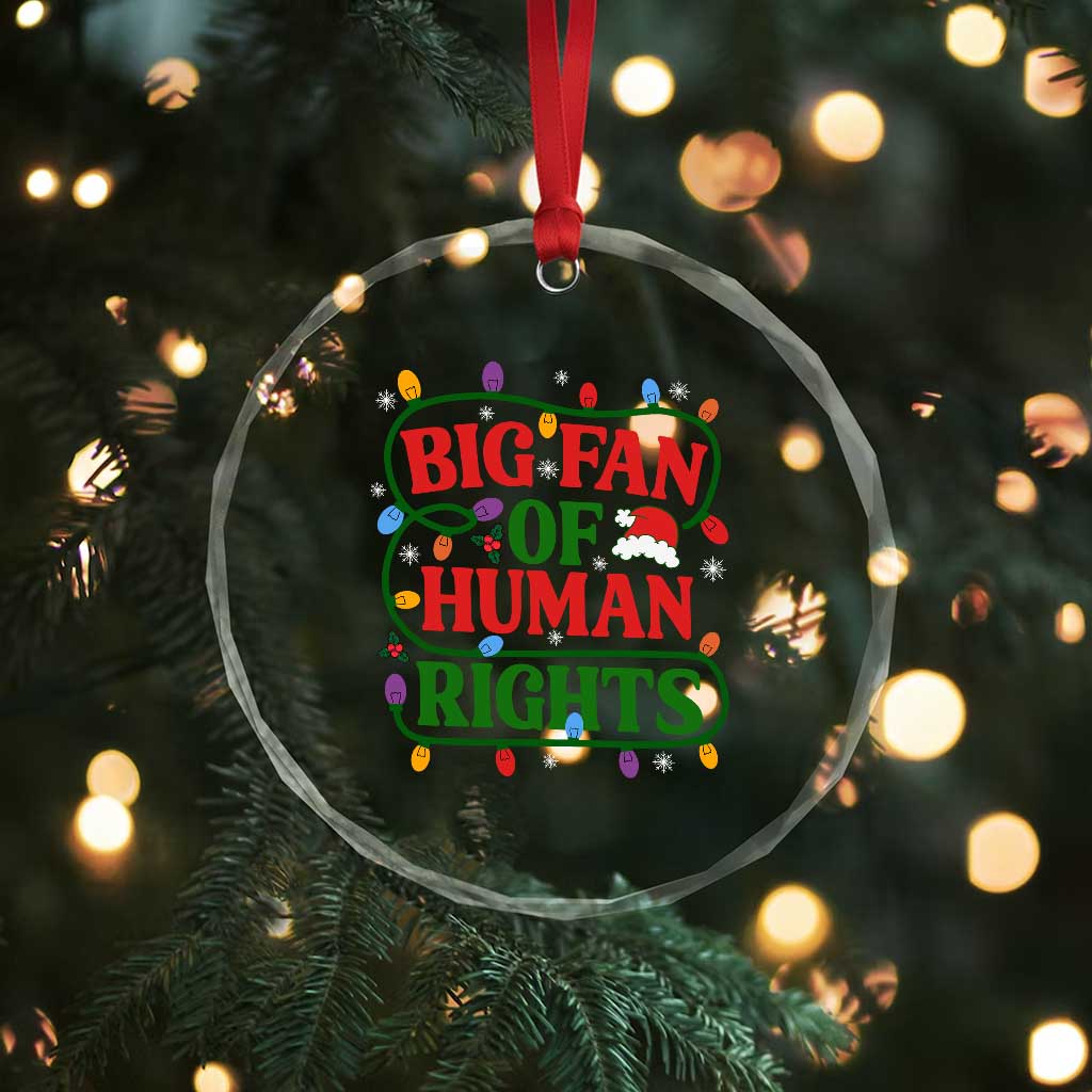 Big Fan Of Human Rights Crystal Glass Ornament Equality Activists Christmas Gift TS12 Print Your Wear