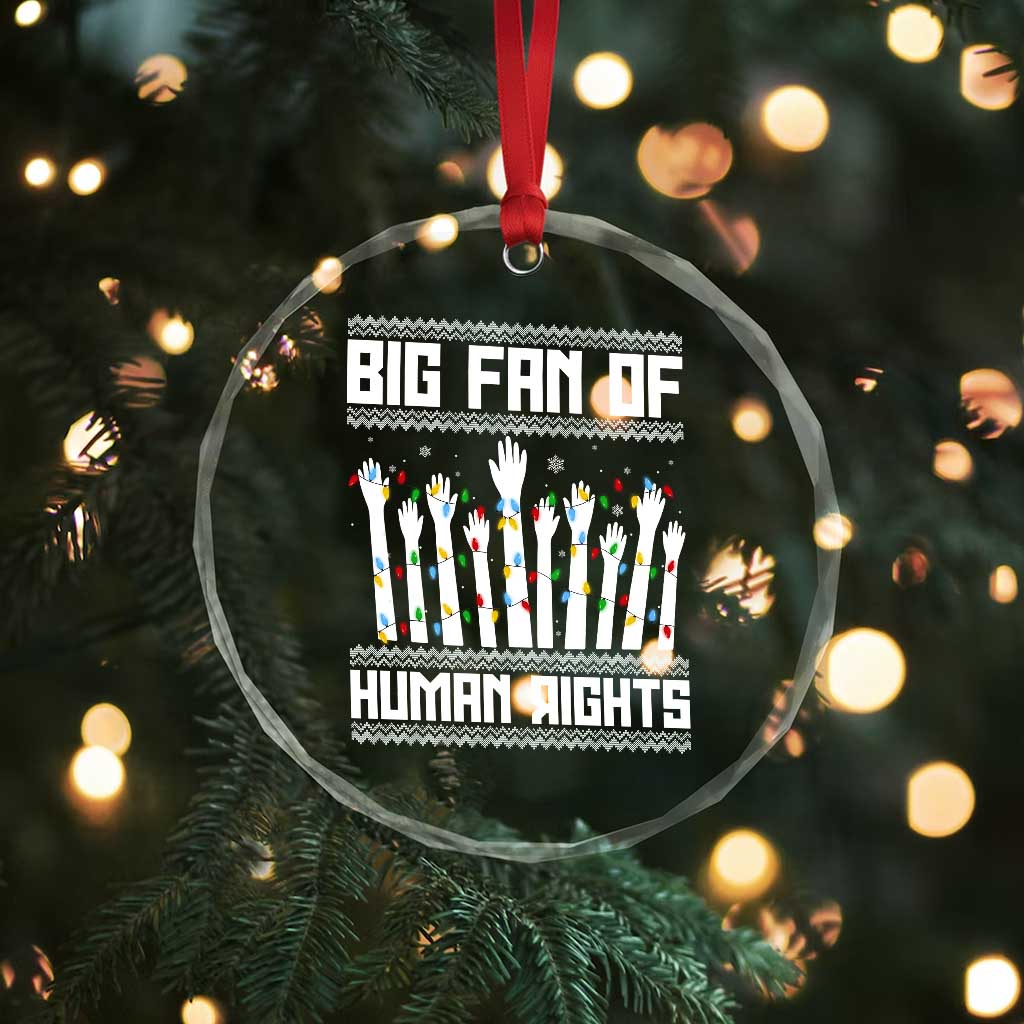 Big Fan Of Human Rights Equality Supporters Crystal Glass Ornament Christmas Gift TS12 Print Your Wear