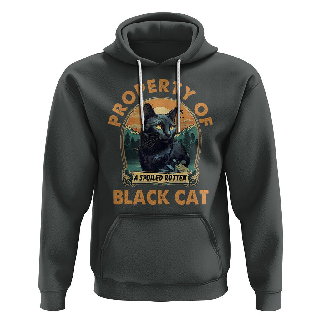 Black Cat Hoodie Property Of Black Cat TS02 Dark Heather Printyourwear