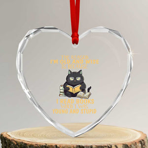 Black Cat Reading Heart Crystal Glass Ornament I'm Old And Wise Because I Read Books When I Was Young And Stupid Funny Reading Lover TS02 Transparent Glass 3'' Heart Print Your Wear