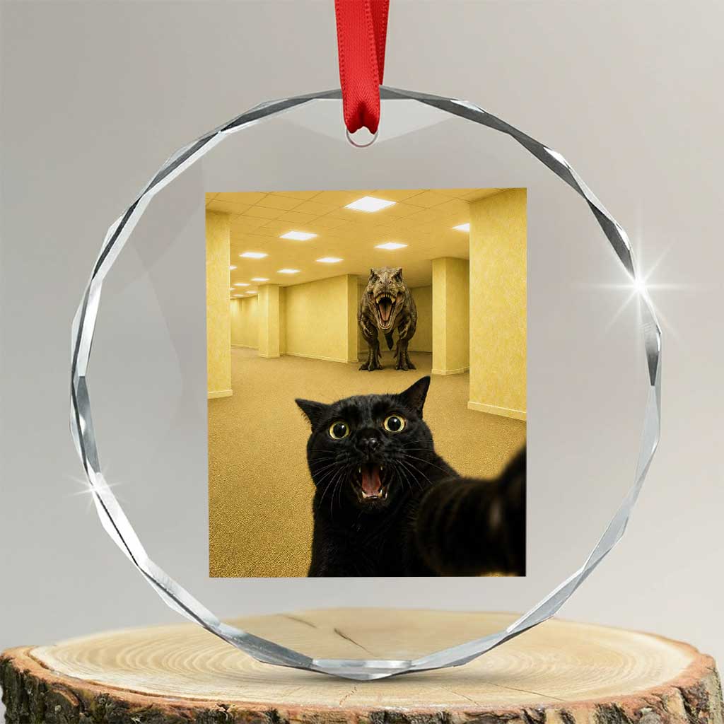 Black Cat Selfie with Dinosaur in The Backrooms Liminal Space Graphic Crystal Glass Ornament Liminal Space Urban Legend Meme TS10 Transparent Glass 3'' Circle Print Your Wear