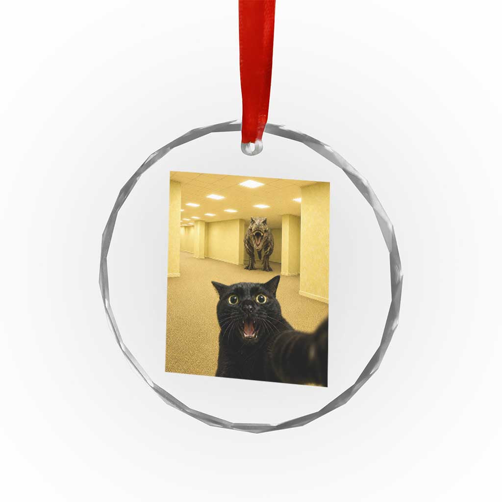 Black Cat Selfie with Dinosaur in The Backrooms Liminal Space Graphic Crystal Glass Ornament Liminal Space Urban Legend Meme TS10 Print Your Wear