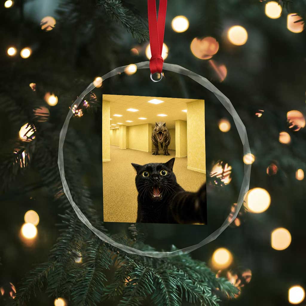 Black Cat Selfie with Dinosaur in The Backrooms Liminal Space Graphic Crystal Glass Ornament Liminal Space Urban Legend Meme TS10 Print Your Wear