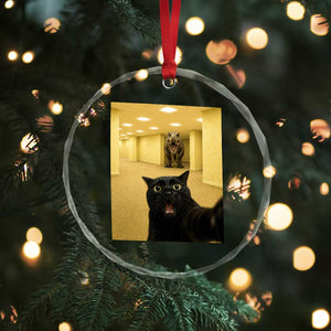 Black Cat Selfie with Dinosaur in The Backrooms Liminal Space Graphic Crystal Glass Ornament Liminal Space Urban Legend Meme TS10 Print Your Wear