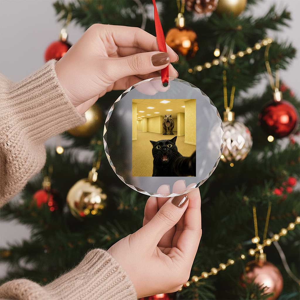 Black Cat Selfie with Dinosaur in The Backrooms Liminal Space Graphic Crystal Glass Ornament Liminal Space Urban Legend Meme TS10 Print Your Wear
