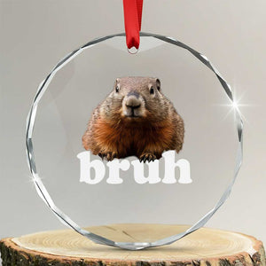 Bruh Groundhog Crystal Glass Ornament Funny Woodchuck Youth Teens Kids Slang TS10 Transparent Glass 3'' Circle Print Your Wear