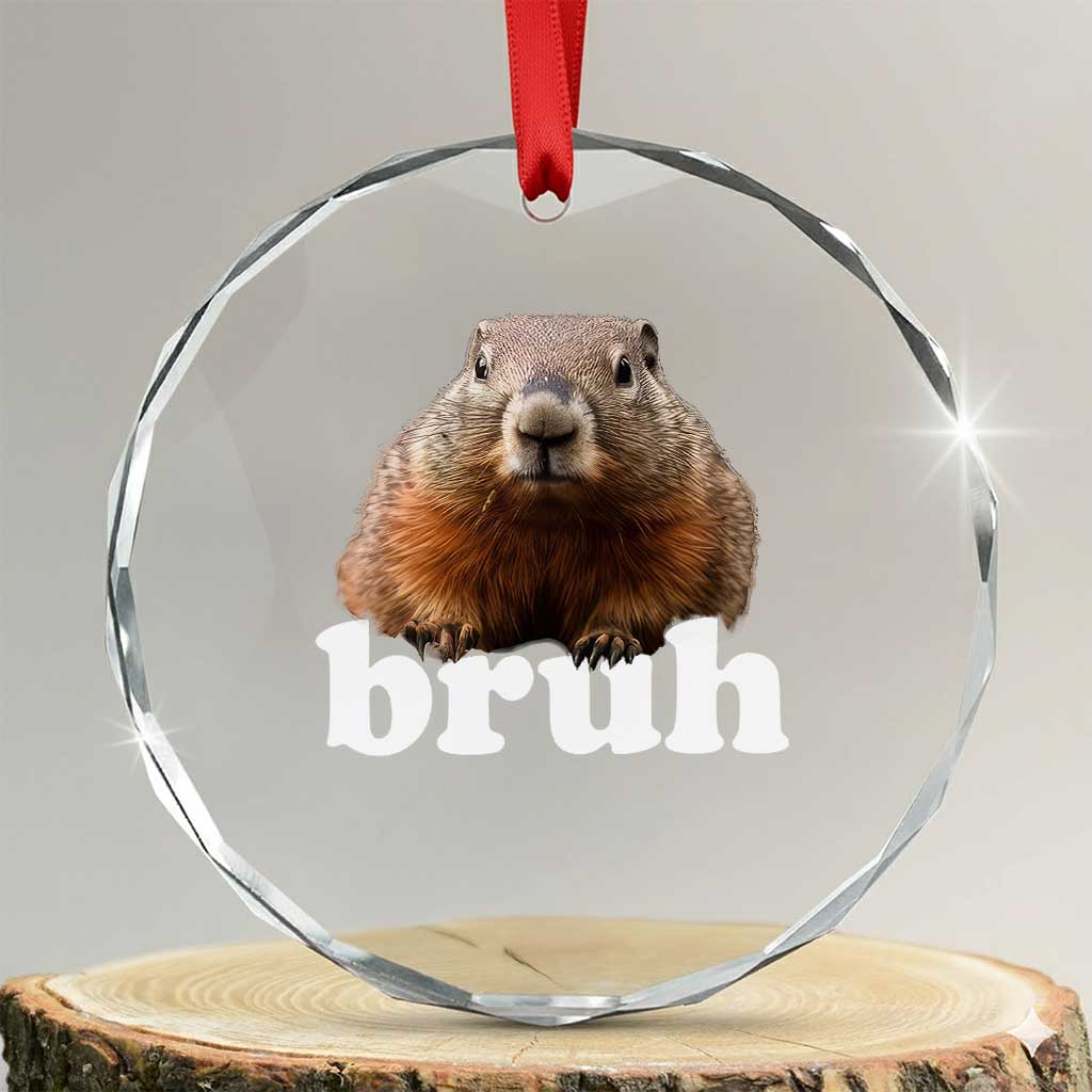 Bruh Groundhog Crystal Glass Ornament Funny Woodchuck Youth Teens Kids Slang TS10 Transparent Glass 3'' Circle Print Your Wear