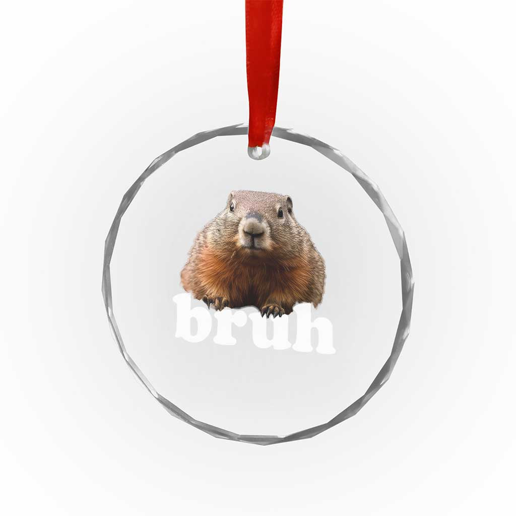 Bruh Groundhog Crystal Glass Ornament Funny Woodchuck Youth Teens Kids Slang TS10 Print Your Wear