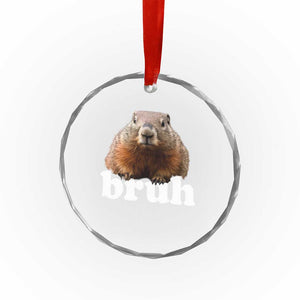Bruh Groundhog Crystal Glass Ornament Funny Woodchuck Youth Teens Kids Slang TS10 Print Your Wear