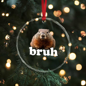 Bruh Groundhog Crystal Glass Ornament Funny Woodchuck Youth Teens Kids Slang TS10 Print Your Wear