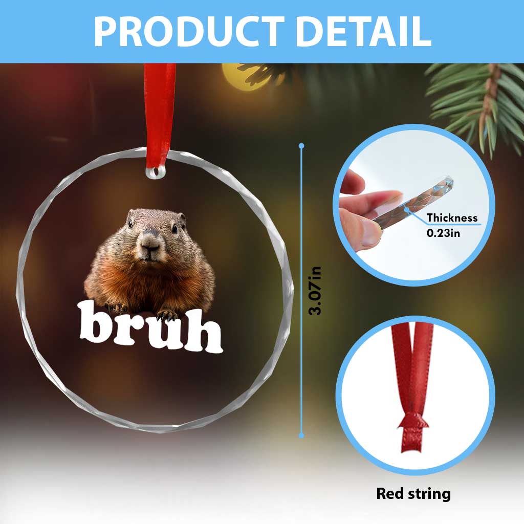Bruh Groundhog Crystal Glass Ornament Funny Woodchuck Youth Teens Kids Slang TS10 Print Your Wear