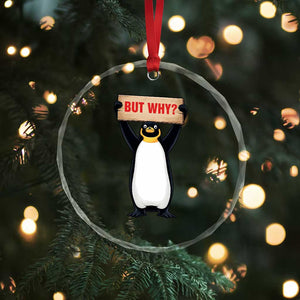 But Why Penguin Crystal Glass Ornament Funny Nihilist Penguin Hiking Meme TS14 Print Your Wear