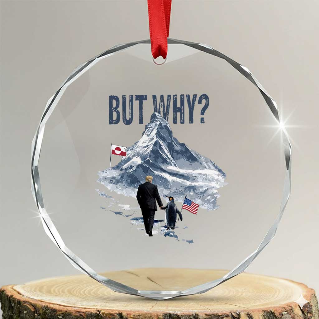 But Why Penguin Crystal Glass Ornament Head Towards The Mountains Penguin Meme TS14 Transparent Glass 3'' Circle Print Your Wear