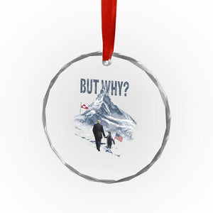 But Why Penguin Crystal Glass Ornament Head Towards The Mountains Penguin Meme TS14 Print Your Wear