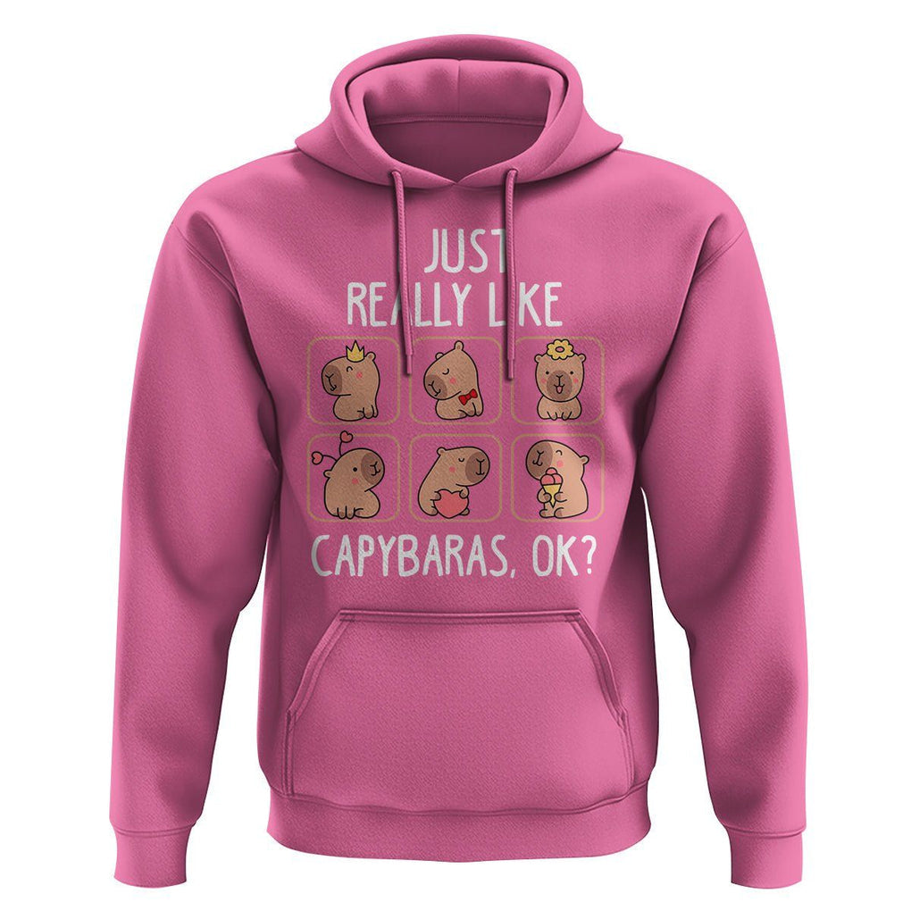 Capybara Lover Hoodie I Just Really Like Capybaras Cute Capy TS09 Azalea Print Your Wear