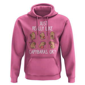 Capybara Lover Hoodie I Just Really Like Capybaras Cute Capy TS09 Azalea Print Your Wear