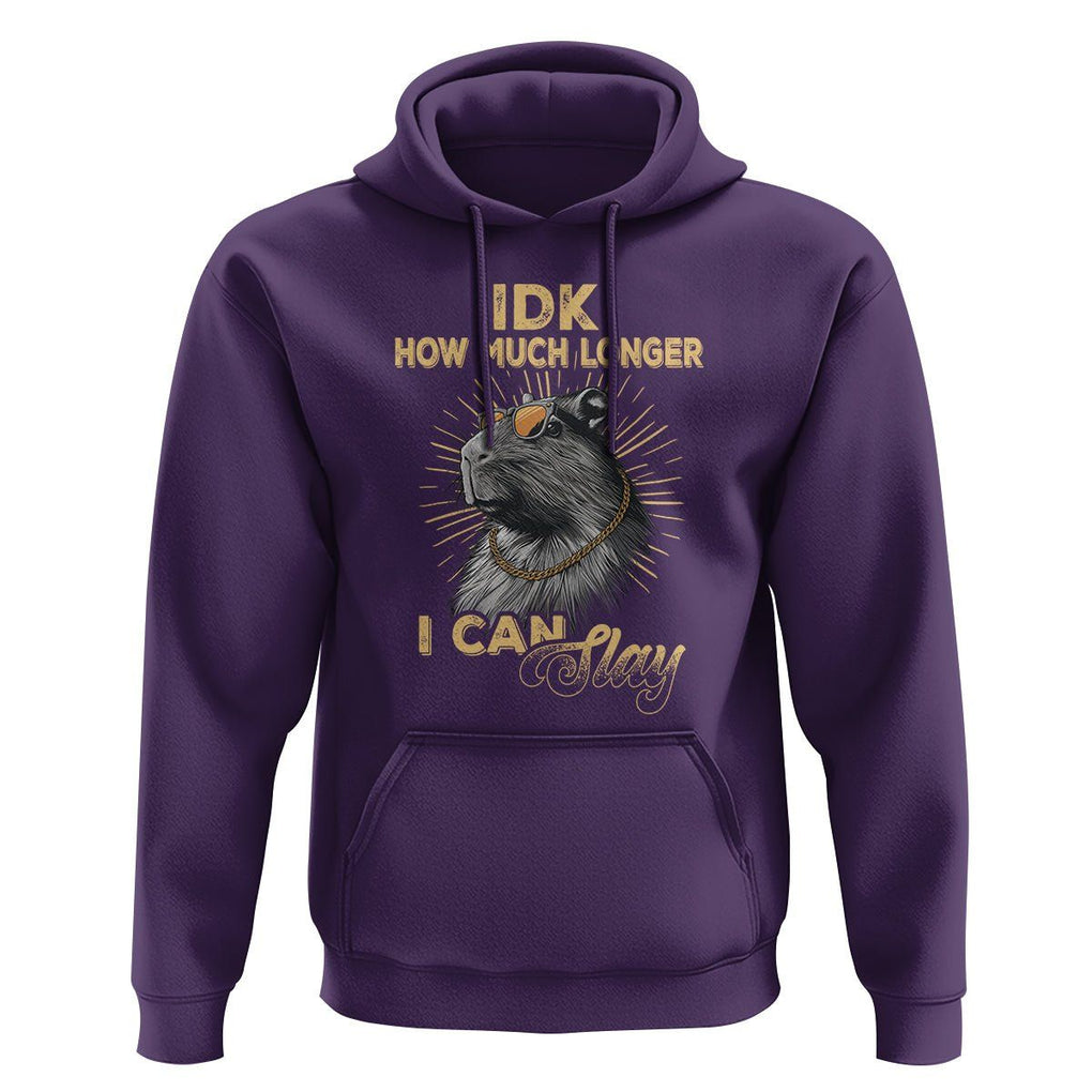 Capybara Lover Hoodie Idk How Much Longer I Can Slay Cool Capy TS09 Purple Print Your Wear