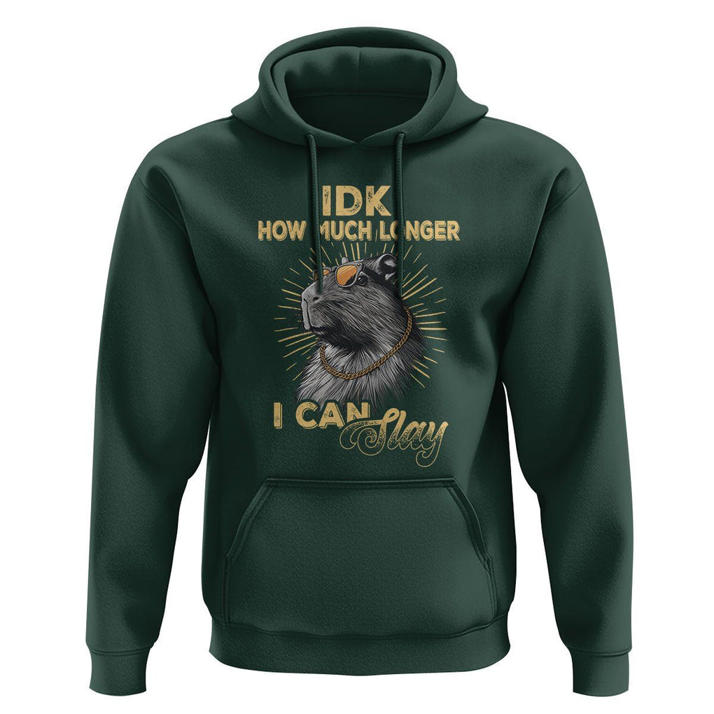 Capybara Lover Hoodie Idk How Much Longer I Can Slay Cool Capy TS09 Dark Forest Green Print Your Wear