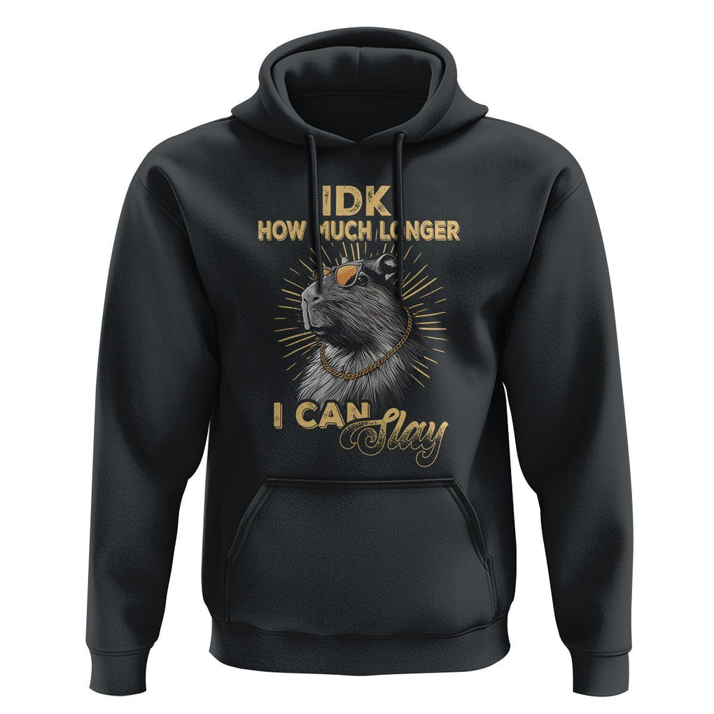 Capybara Lover Hoodie Idk How Much Longer I Can Slay Cool Capy TS09 Black Print Your Wear