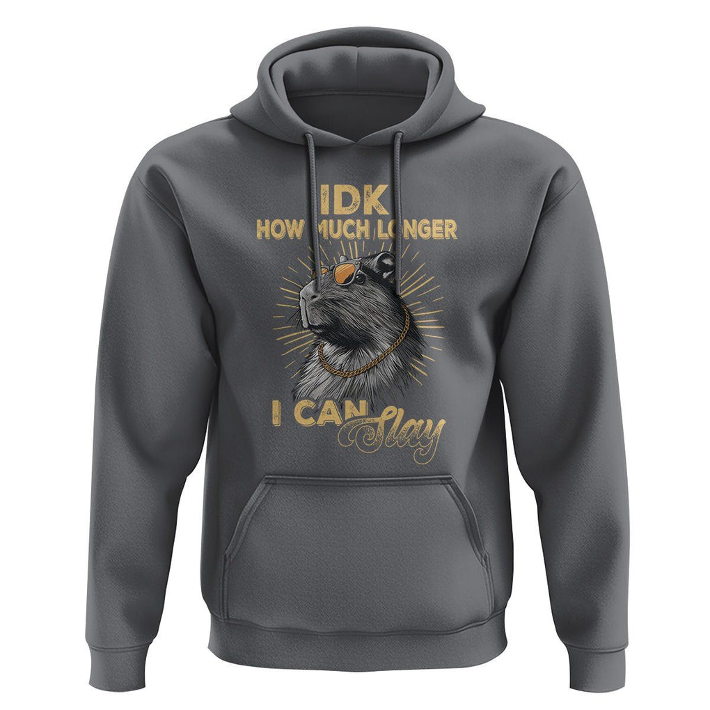 Capybara Lover Hoodie Idk How Much Longer I Can Slay Cool Capy TS09 Charcoal Print Your Wear
