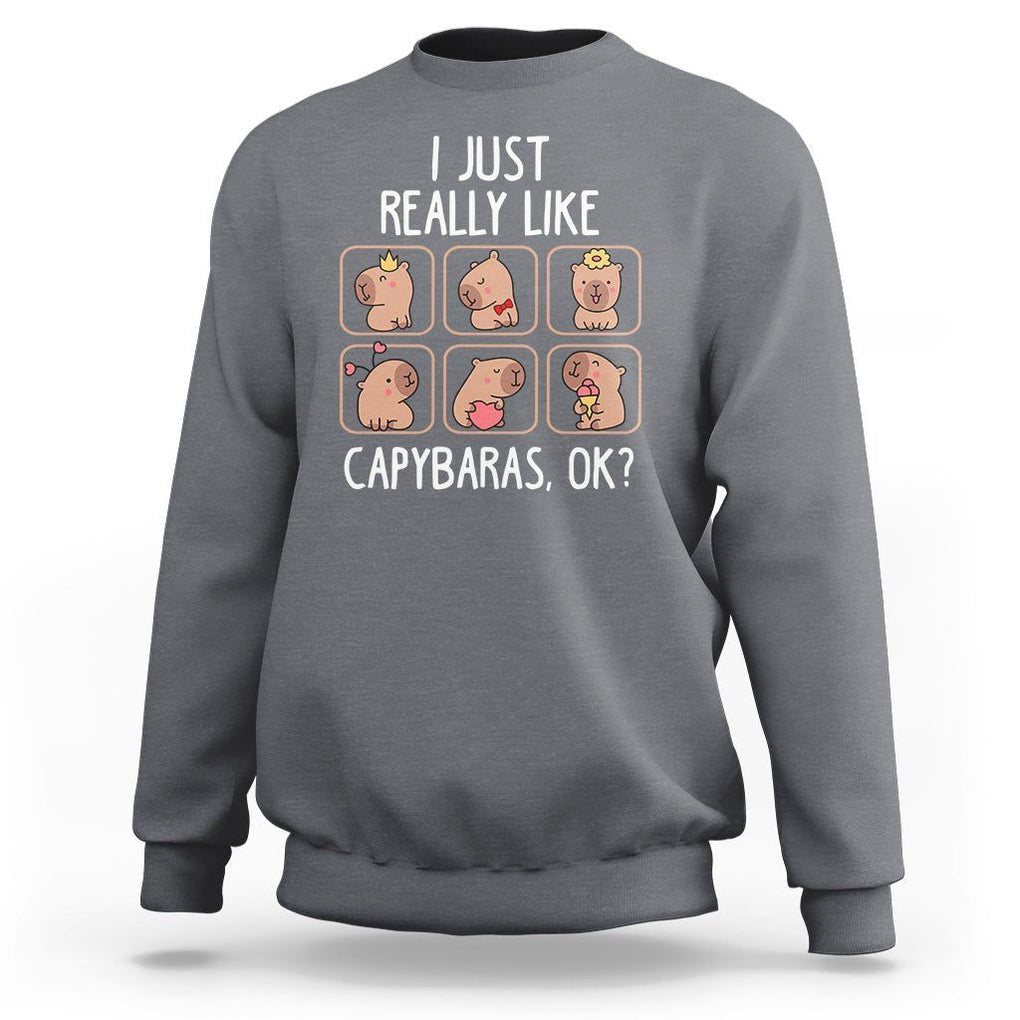 Capybara Lover Sweatshirt I Just Really Like Capybaras Cute Capy TS09 Charcoal Print Your Wear