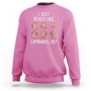 Capybara Lover Sweatshirt I Just Really Like Capybaras Cute Capy TS09 Azalea Print Your Wear