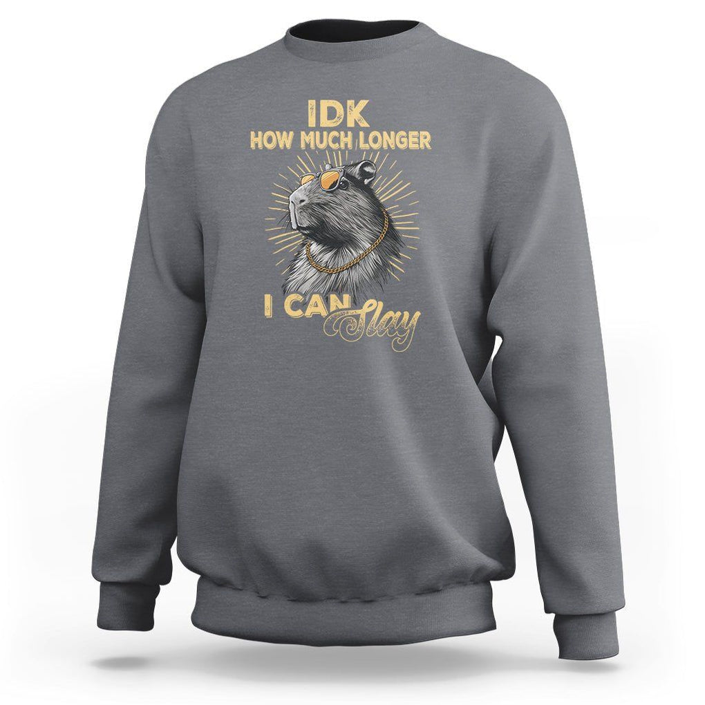 Capybara Lover Sweatshirt Idk How Much Longer I Can Slay Cool Capy TS09 Charcoal Print Your Wear