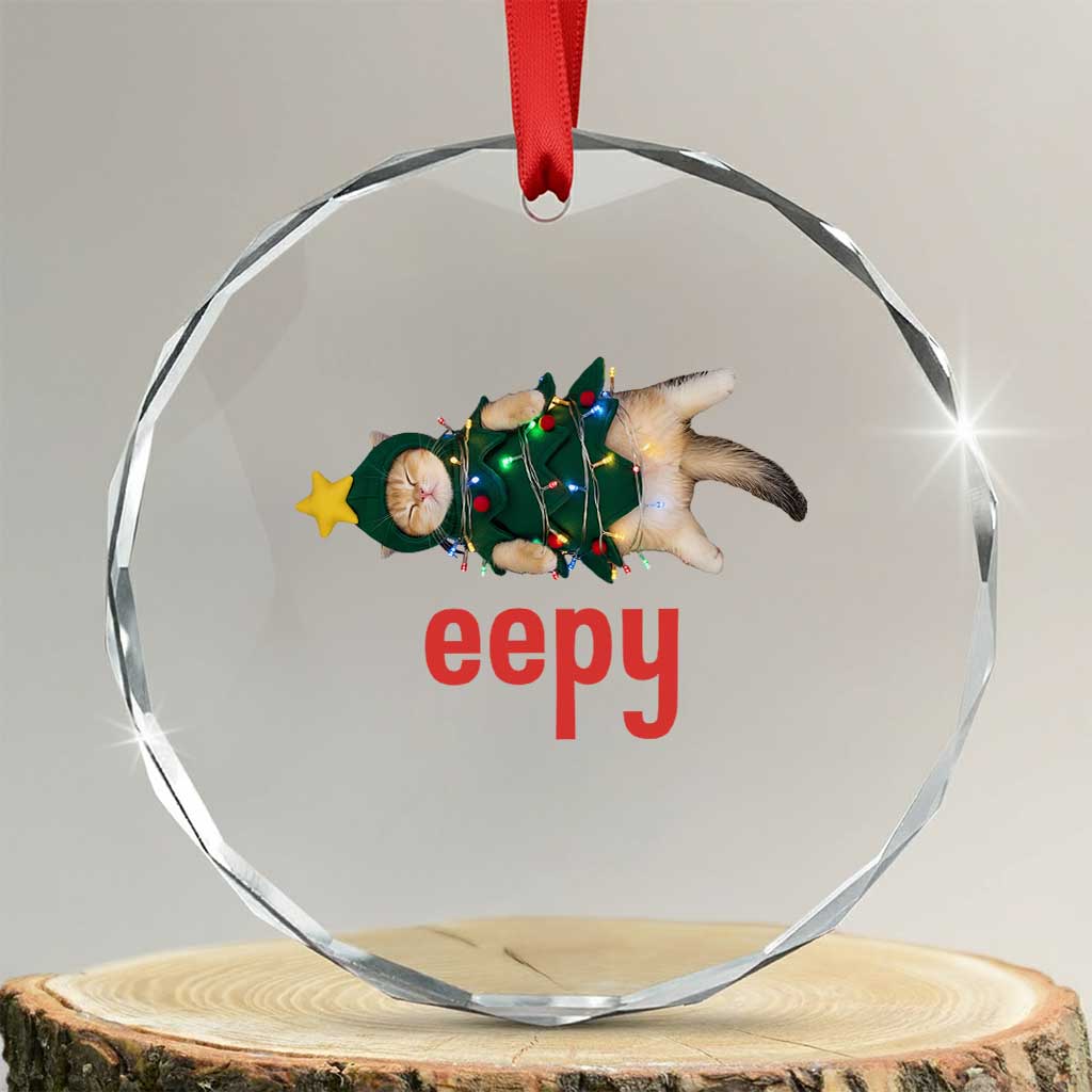 Cat Christmas Meme Crystal Glass Ornament Eepy Kitten Silly Sleepy TS14 Transparent Glass 3'' Circle Print Your Wear