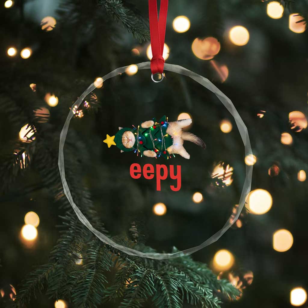 Cat Christmas Meme Crystal Glass Ornament Eepy Kitten Silly Sleepy TS14 Print Your Wear