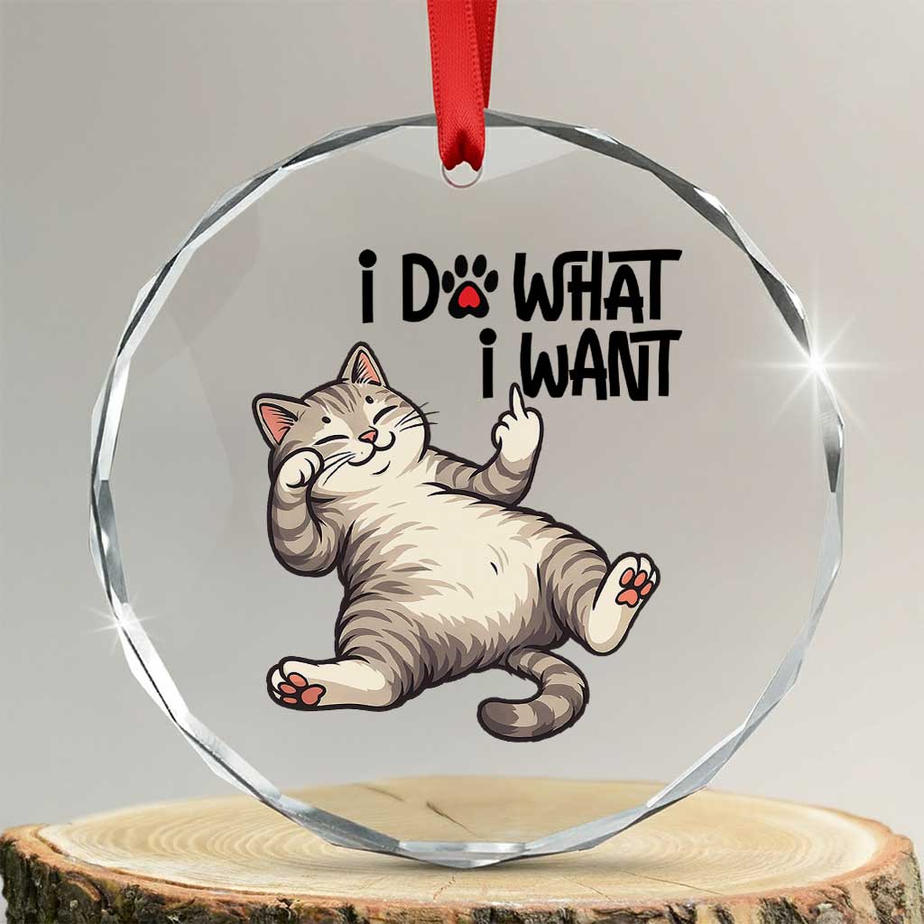 Cat Lover Crystal Glass Ornament Funny I Do What I Want TS12 Transparent Glass 3'' Circle Print Your Wear