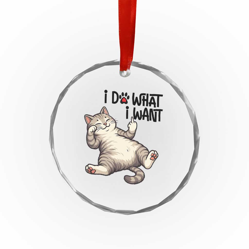Cat Lover Crystal Glass Ornament Funny I Do What I Want TS12 Print Your Wear