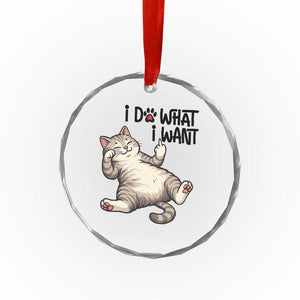 Cat Lover Crystal Glass Ornament Funny I Do What I Want TS12 Print Your Wear