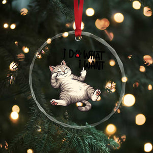 Cat Lover Crystal Glass Ornament Funny I Do What I Want TS12 Print Your Wear