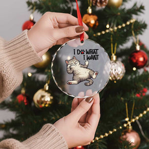 Cat Lover Crystal Glass Ornament Funny I Do What I Want TS12 Print Your Wear