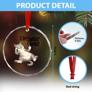 Cat Lover Crystal Glass Ornament Funny I Do What I Want TS12 Print Your Wear