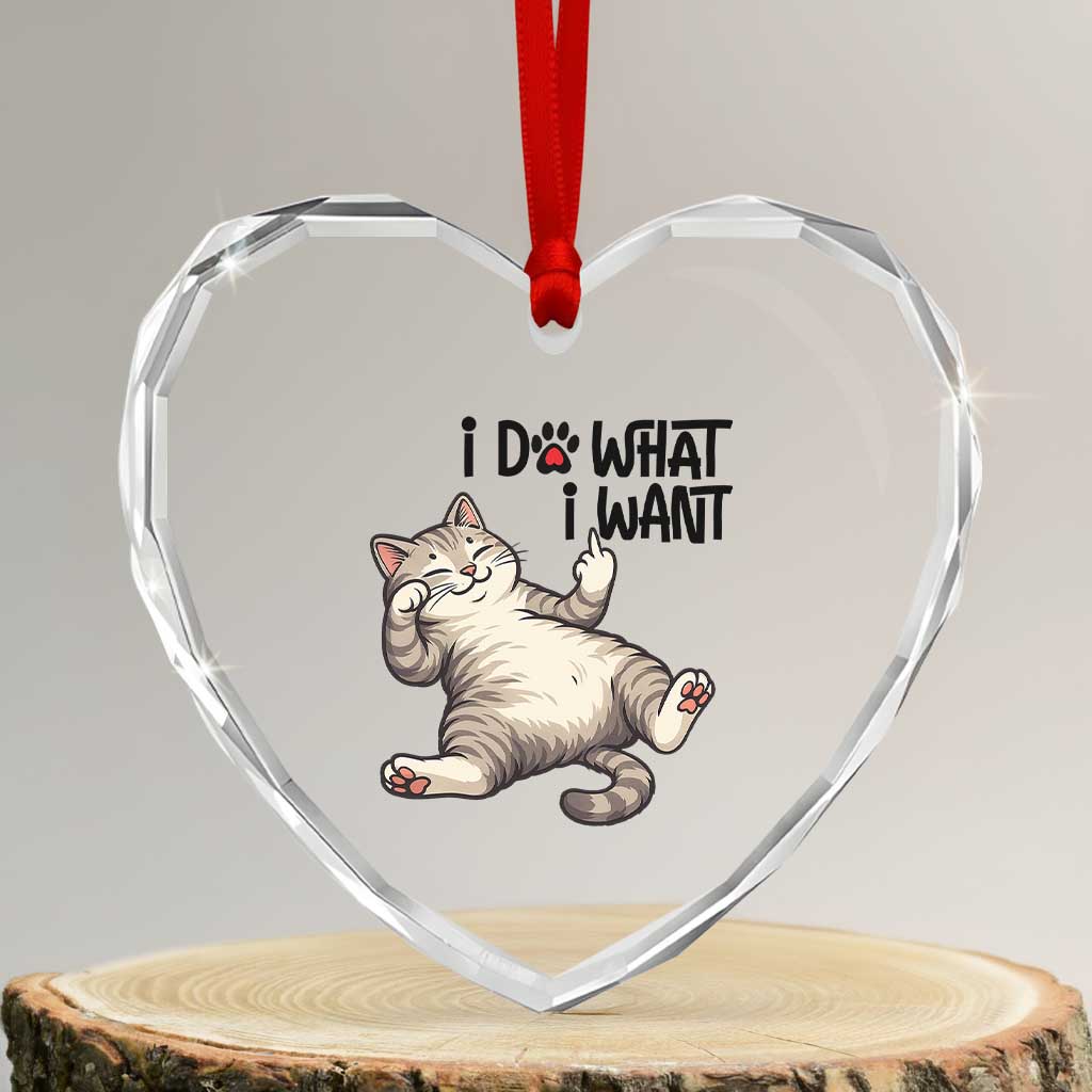 Cat Lover Heart Crystal Glass Ornament Funny I Do What I Want TS12 Transparent Glass 3'' Heart Print Your Wear