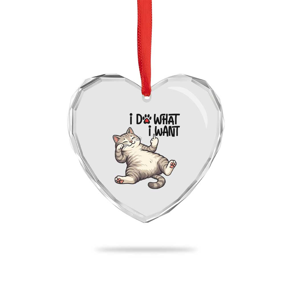 Cat Lover Heart Crystal Glass Ornament Funny I Do What I Want TS12 Print Your Wear