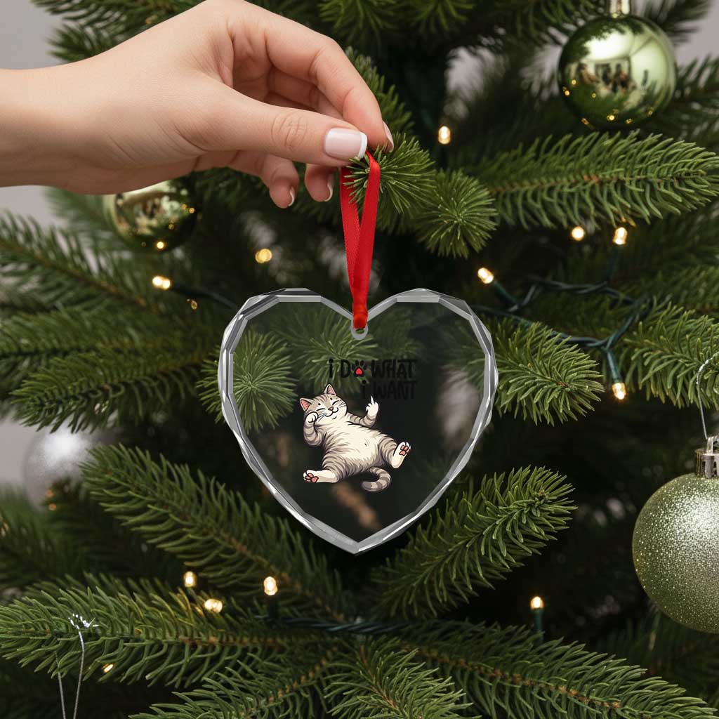 Cat Lover Heart Crystal Glass Ornament Funny I Do What I Want TS12 Print Your Wear