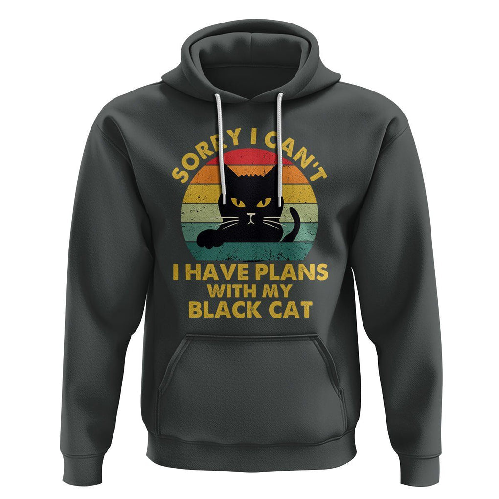 Cat Lover Hoodie Sorry I Can't I Have Plans With My Black Cat TS02 Dark Heather Printyourwear