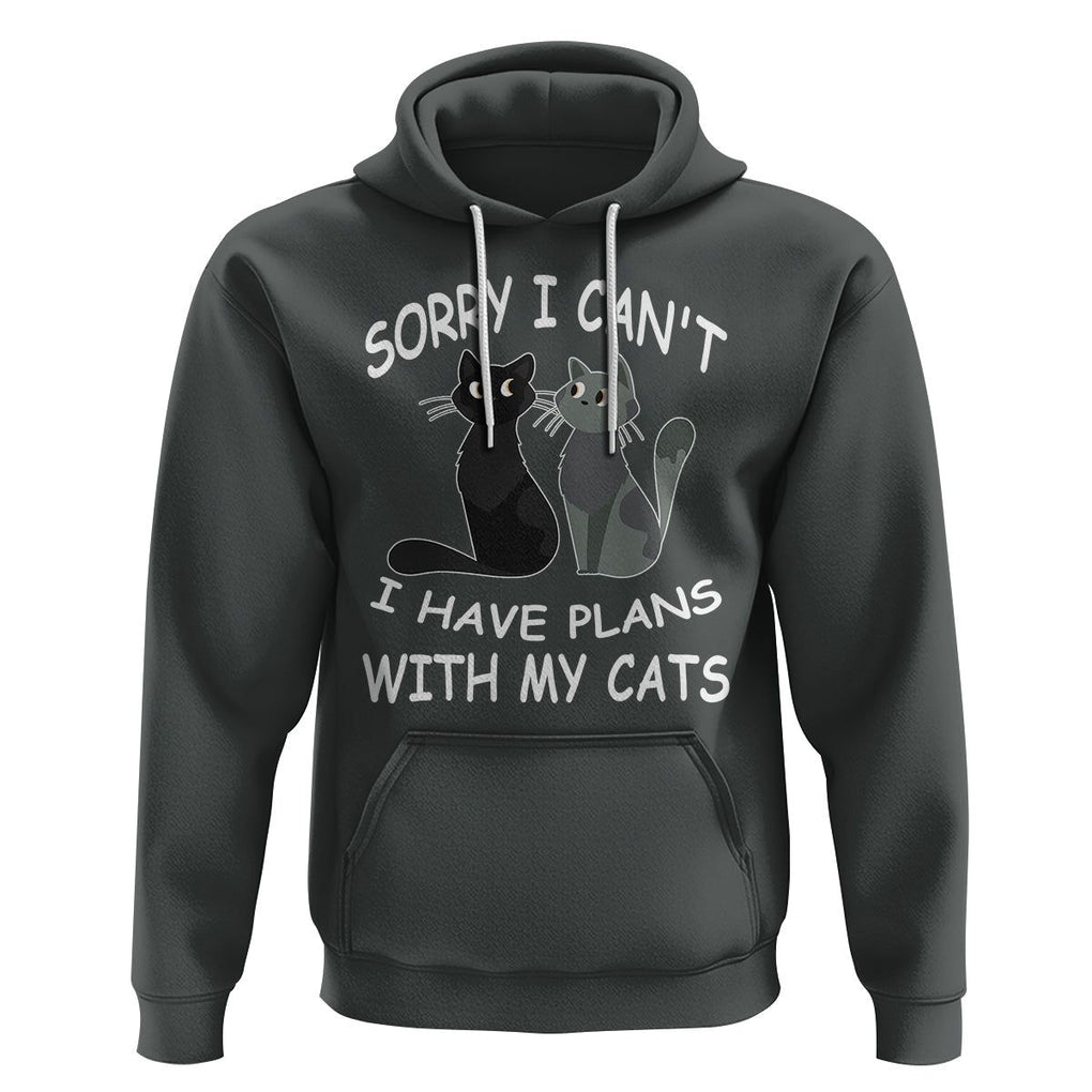 Cat Lover Hoodie Sorry I Can't I Have Plans With My Cats TS02 Dark Heather Printyourwear