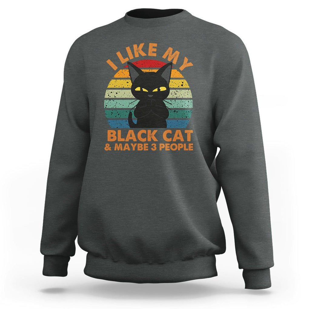 Cat Lover Sweatshirt I Like My Black Cat & Maybe 3 People TS02 Dark Heather Printyourwear