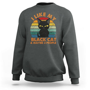 Cat Lover Sweatshirt I Like My Black Cat & Maybe 3 People TS02 Dark Heather Printyourwear