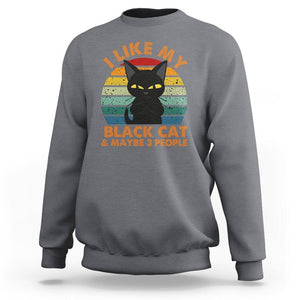 Cat Lover Sweatshirt I Like My Black Cat & Maybe 3 People TS02 Charcoal Printyourwear