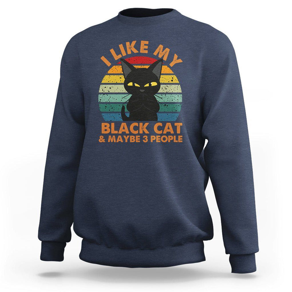 Cat Lover Sweatshirt I Like My Black Cat & Maybe 3 People TS02 Navy Printyourwear