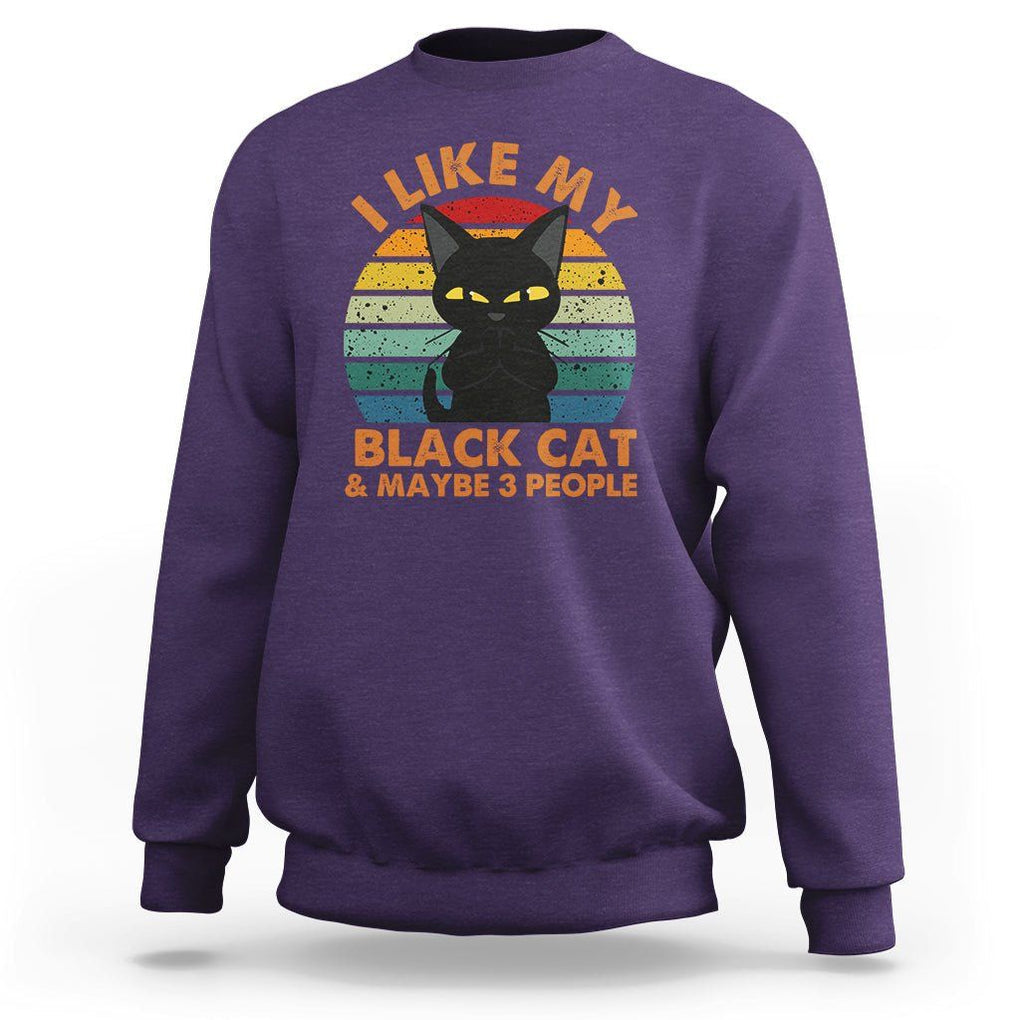 Cat Lover Sweatshirt I Like My Black Cat & Maybe 3 People TS02 Purple Printyourwear