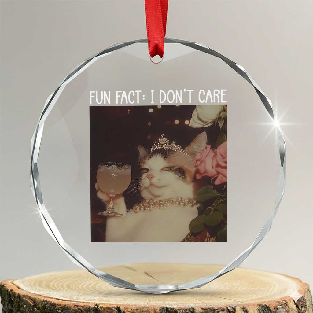 Cat Meme Crystal Glass Ornament Fun Fact I Dont Care Funny Saying Quote TS10 Transparent Glass 3'' Circle Print Your Wear