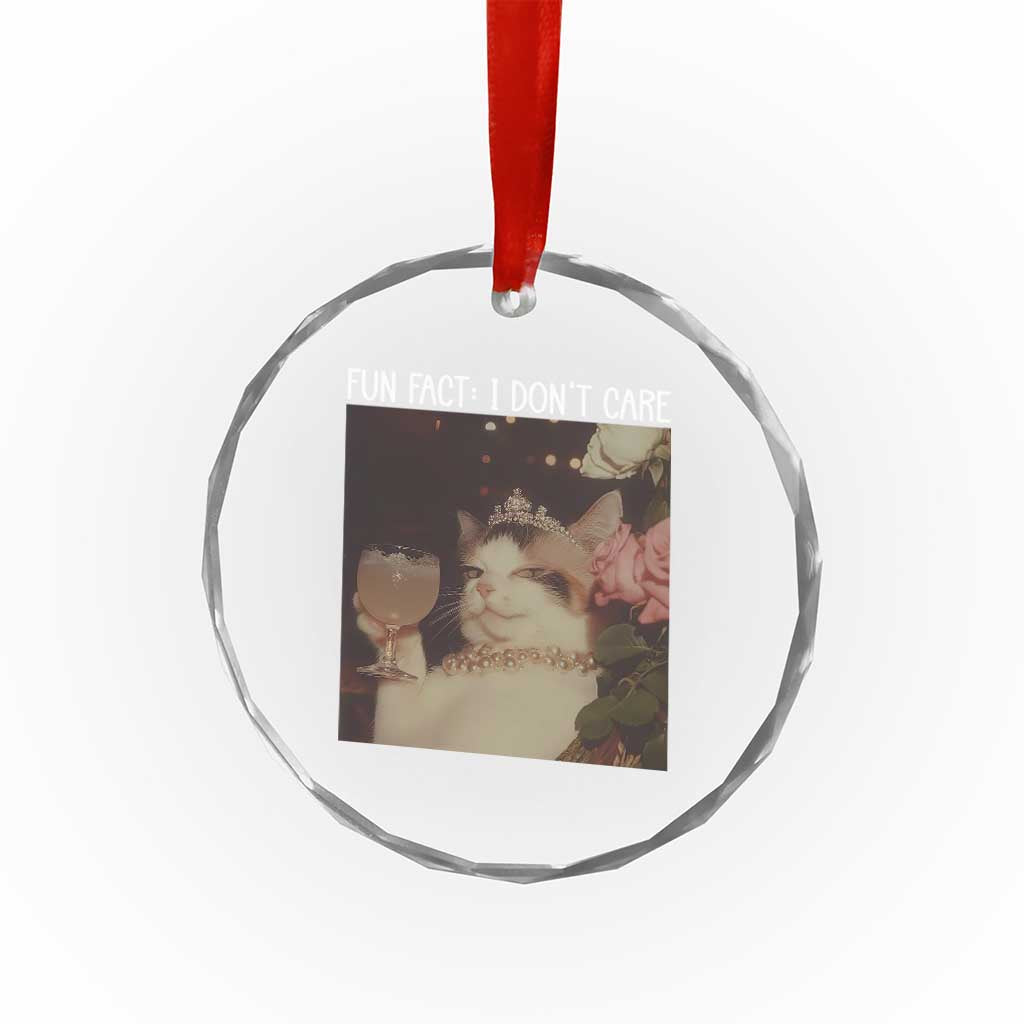 Cat Meme Crystal Glass Ornament Fun Fact I Dont Care Funny Saying Quote TS10 Print Your Wear